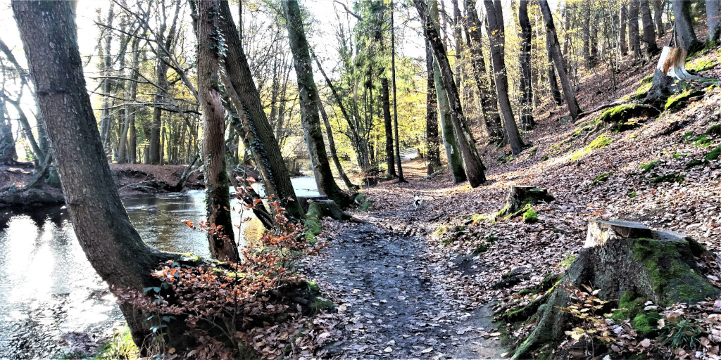 Wanderfreuden im Bergischen Land