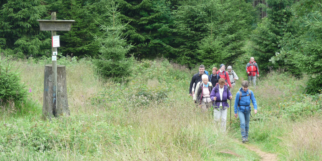 Wandern im Harz