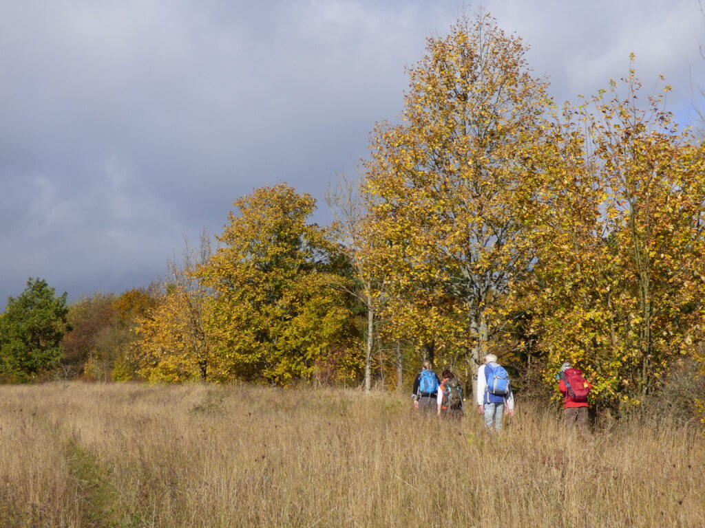 Wandern im Herbst im Meißner