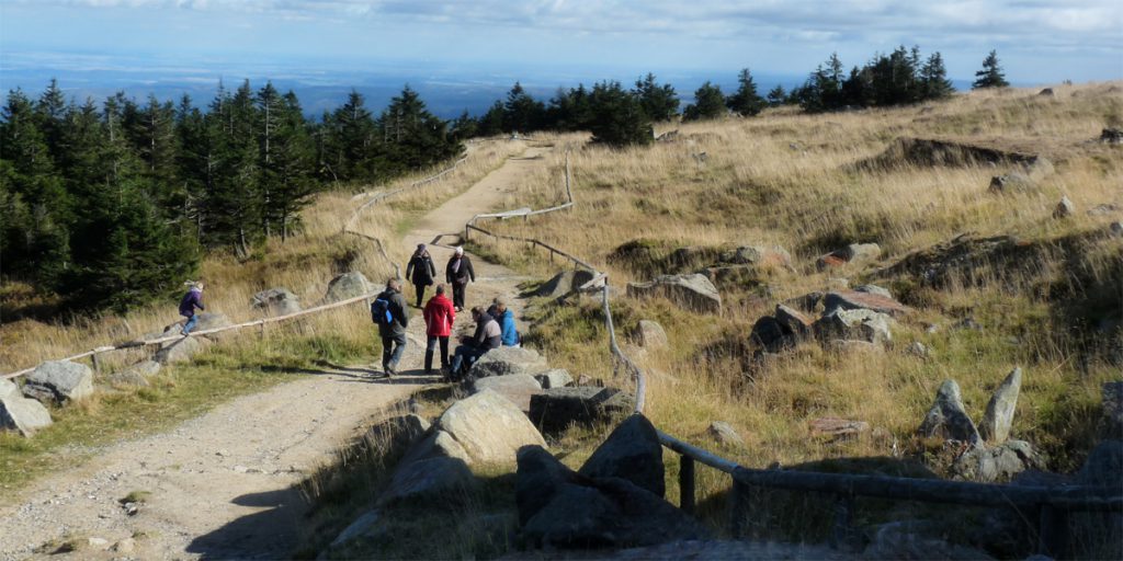 Aktiv_Mitte_Harz_1200x600